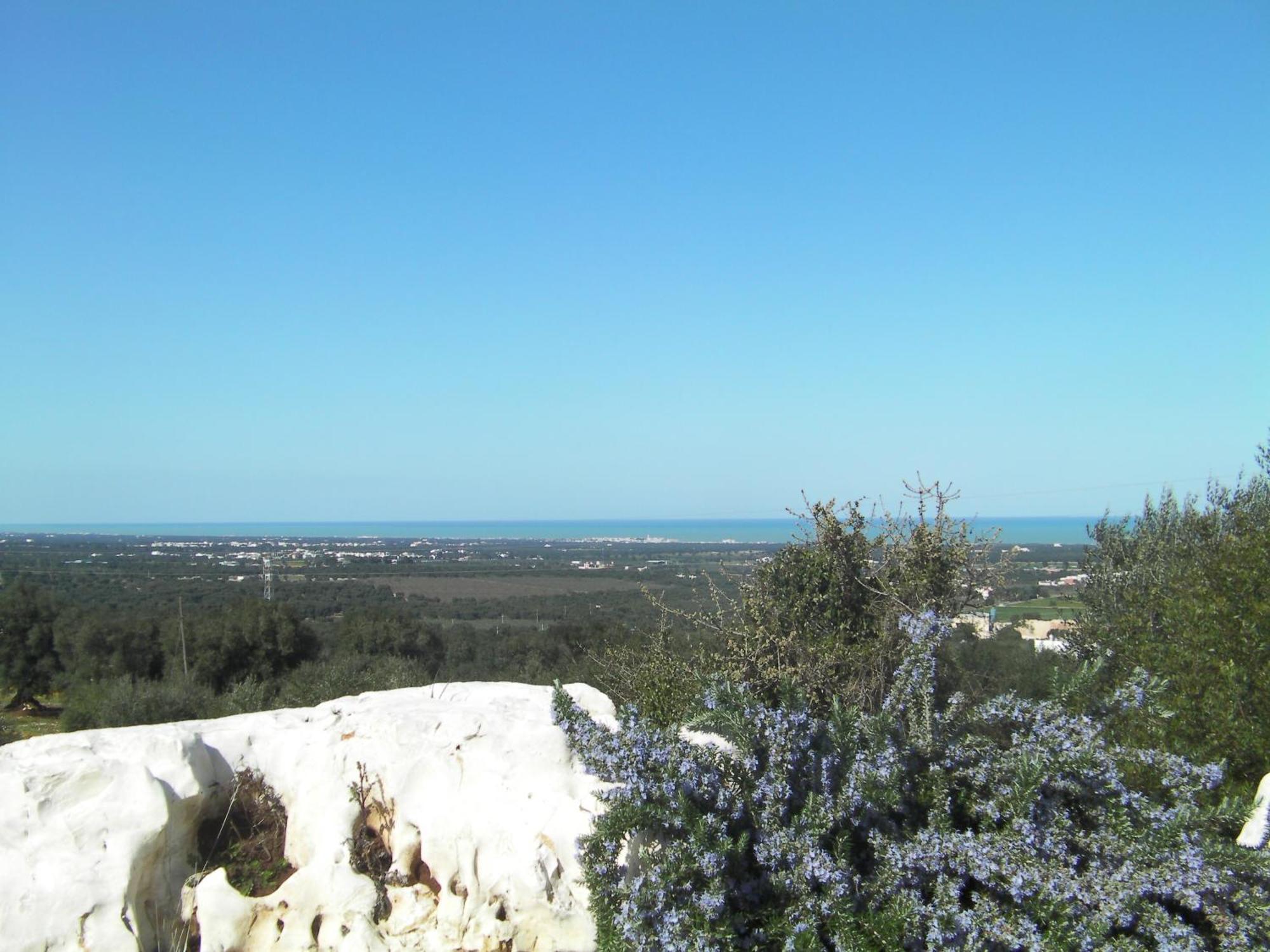 Agriturismo Masseria Spetterrata Cisternino Dış mekan fotoğraf