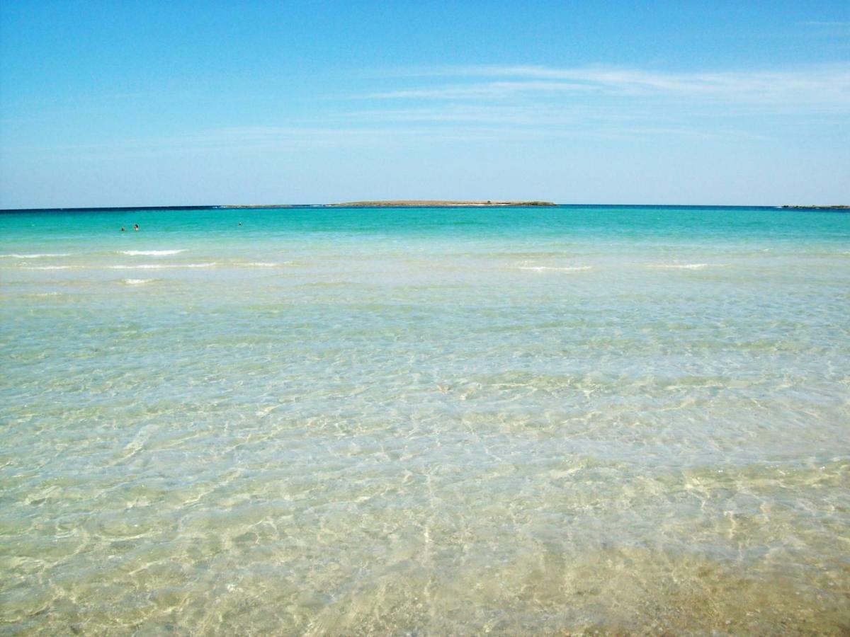 Agriturismo Masseria Spetterrata Cisternino Dış mekan fotoğraf